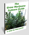 Grow marijuana guide